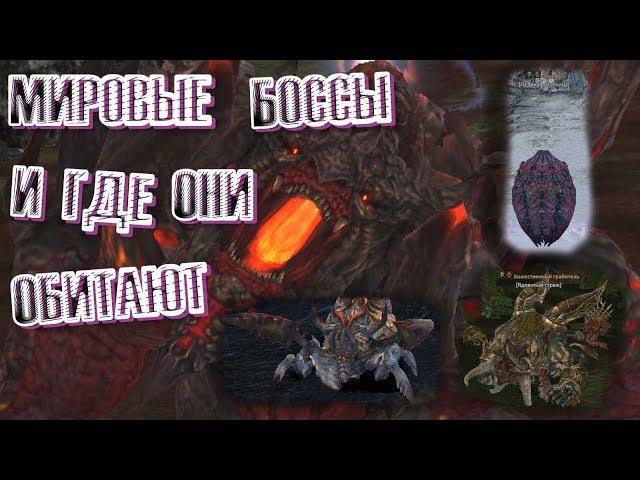 Tera online - Мировые Боссы и где они обитают