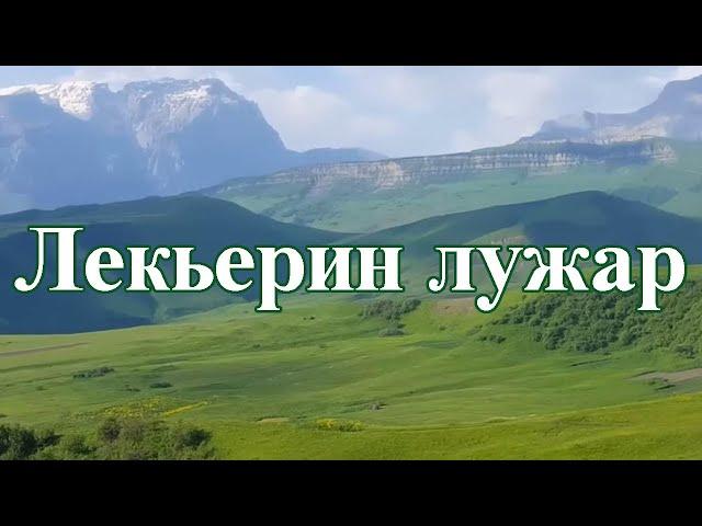 Седакъет Керимова: Лекьерин лужар