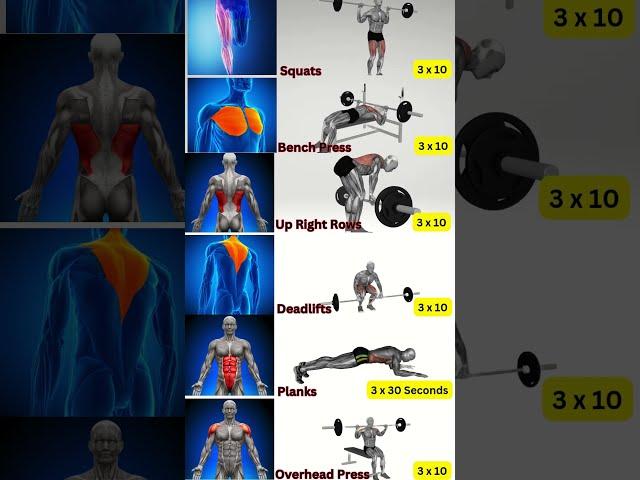 30 - 45 Minute Full Body Muscle Builder: No-Nonsense Workout (Matrix)