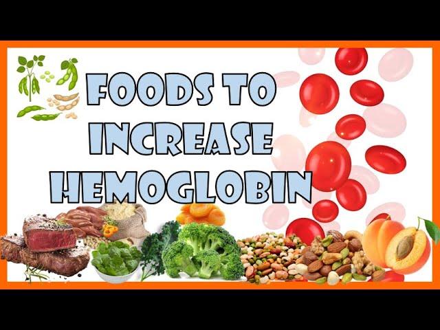 Foods To Increase Hemoglobin [Hemoglobin Foods]