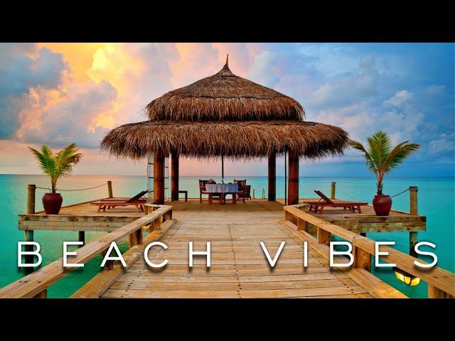 Tropical Caribbean Beach Music Travel Video with Beautiful Views of Beach Travel Destinations