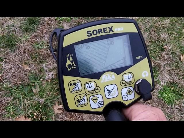 AKA Sorex pro - Metal detecting a local park