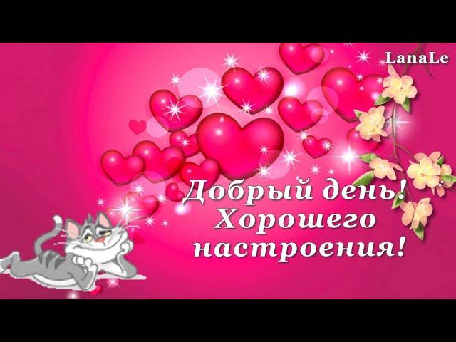 Замечательная песня!/Добрый день!/ Хорошего настроения!/ Я возьму в ладони капельку тепла!