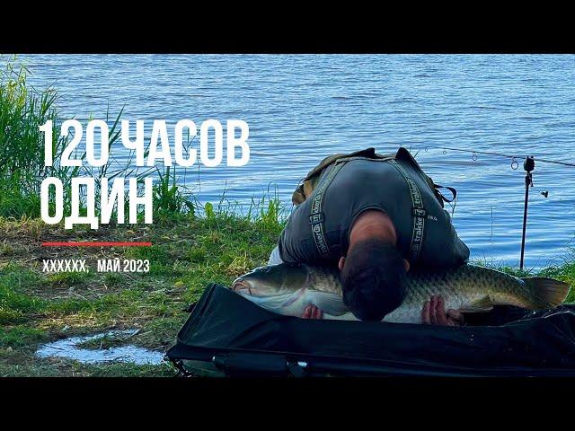 Ловля карпа после нереста (май 2023)