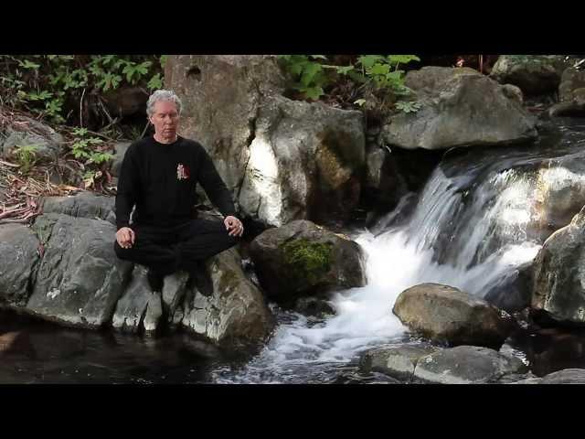 Qigong and Tai Chi - Dr. Jahnke, OMD