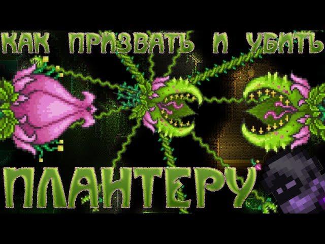 [Terraria Гайд] КАК ПРИЗВАТЬ И УБИТЬ ПЛАНТЕРУ (Plantera)