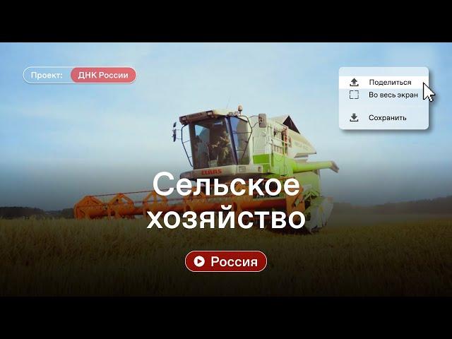 Россия XXI век. Сельское хозяйство