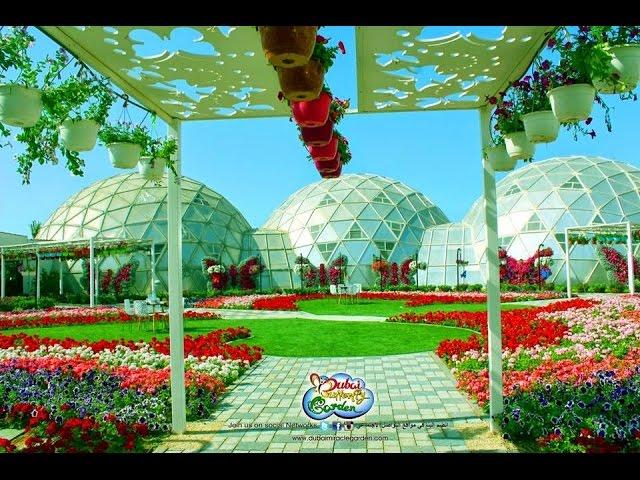 VLOG Dubai Batterfly Garden! Дубай парк бабочек!