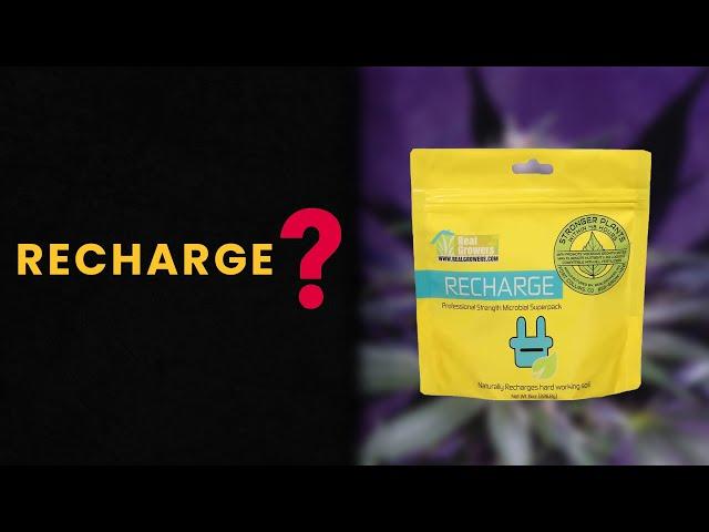 RECHARGE - Is It REALLY Worth It?