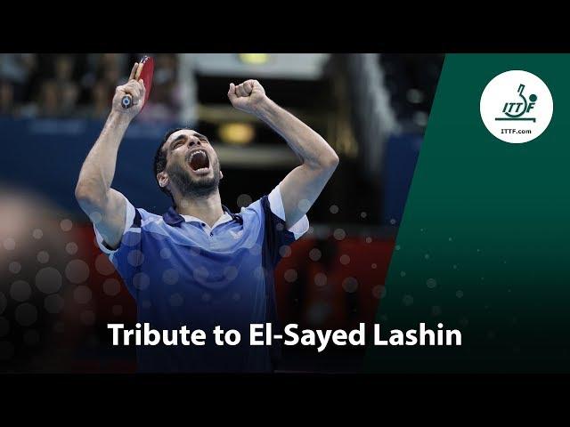 Tribute to El-Sayed Lashin