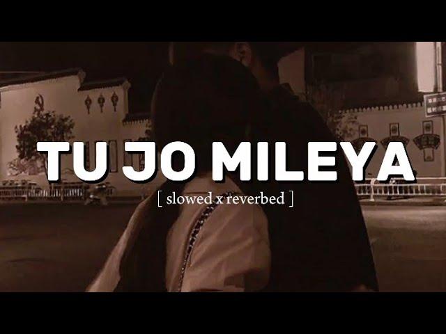 TU JO MILEYA MILEYA AY [ slowed x reverbed ]