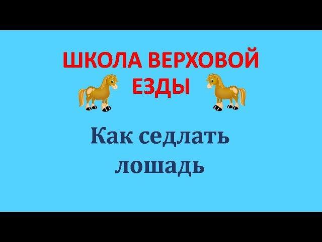 Как седлать лошадь