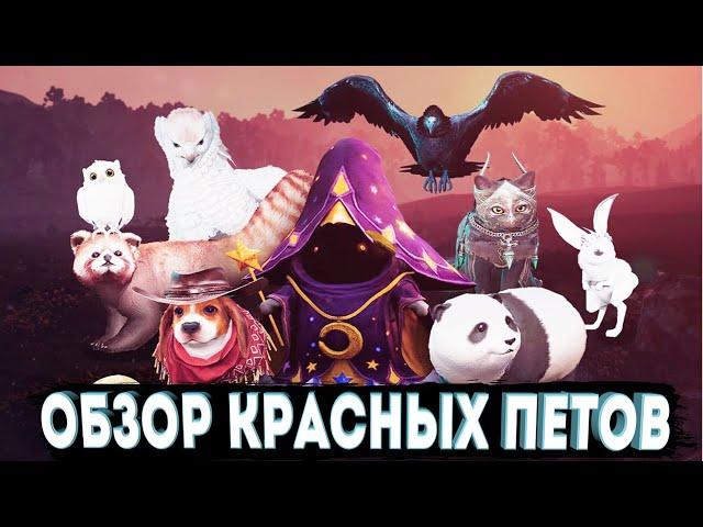 ОБЗОР КРАСНЫХ ПИТОМЦЕВ 7 УРОВНЯ l Чем они лучше Оранжевых?  Black Desert Mobile