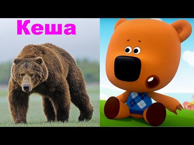 Be-Be-bears Characters in Real life - educational video for kids