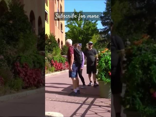 bushman prank #47181 #funny #prankster #Bushman #prank #shorts