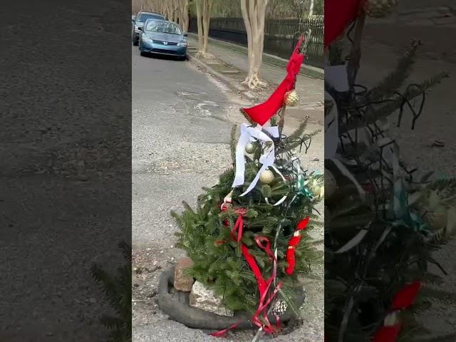 A pothole Chrustmas tree in Garden District in New Orleans #neworleans #christmasdecor