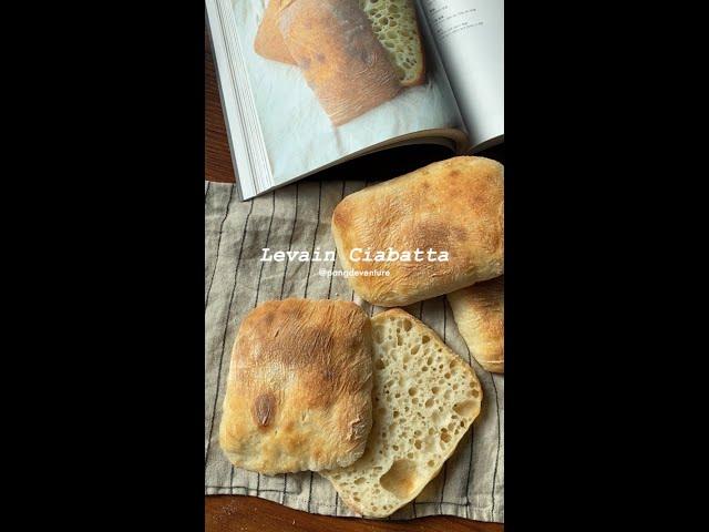 치아바타는 이렇게 만들어집니다안녕느린토끼 레시피 사워도우 치아바타 Sourdough ciabatta