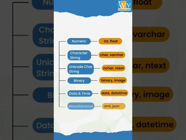 SQL data types you should know! #sql #mysql #datatypes #ivyproschool