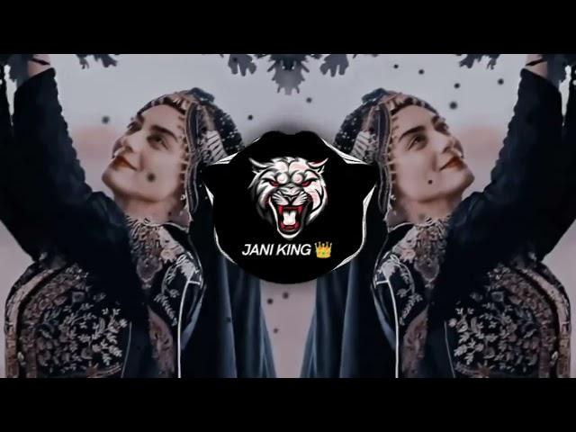 New Arabic Remix || Tiktok viral  ریمیکس 2024 ||  [ Slowed Reverb ] New Song 2024