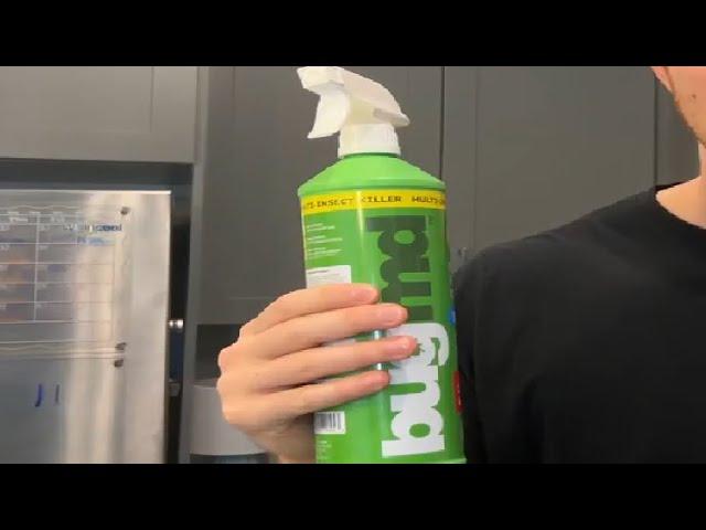 BugMD Insect Killer Spray Review