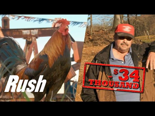 $3,000 "Oil Detecting" Rooster Causes $34,000 Loss!  | Backyard Oil