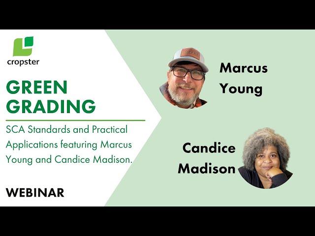 Green Grading: SCA Standards and Practical Applications