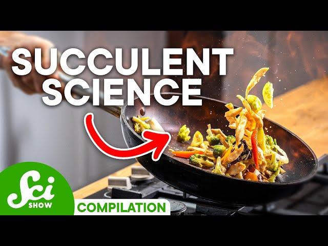 The Best Way to Cook Food, According to Science | SciShow Compilation