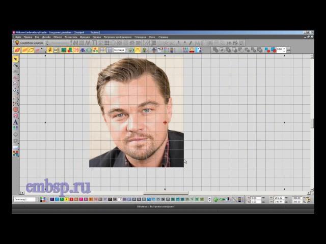 Wilcom EmbroideryStudio e4.2 уроки курсы Фотостежок