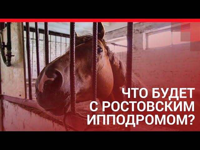 Что будет с ростовским ипподромом ? | 161.RU