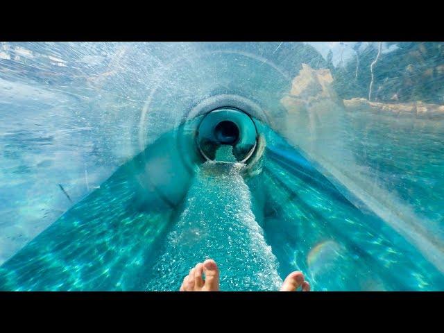 Aquatica Orlando - Dolphin Plunge | Water Slide Through Tank!