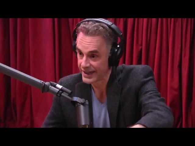 Jordan Peterson Explains the Male Dominance Hierarchy - The Joe Rogan Experience