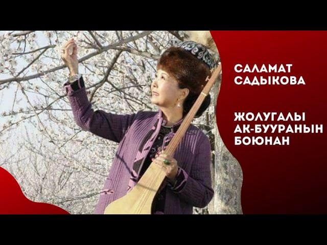 Саламат Садыкова - "Жолугалы Ак-Бууранын боюнан"