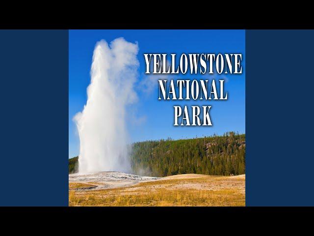 Lone Star Geyser