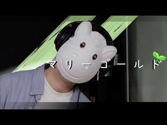 Marigold (マリーゴールド) / Aimyon│Cover by 하마발 HAMABAL