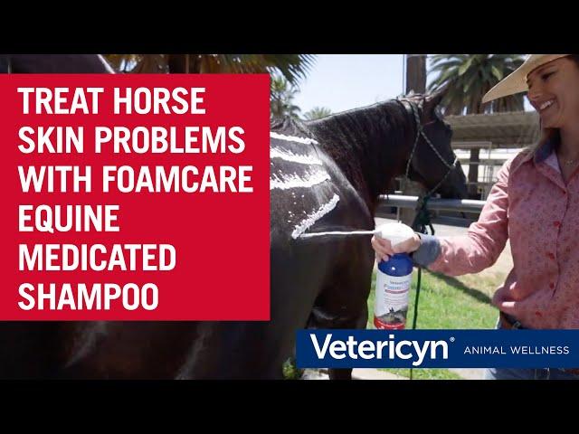 Vetericyn Equine Medicated FoamCare Shampoo Treats Ringworm, Girth Itch, Scratches, and More!