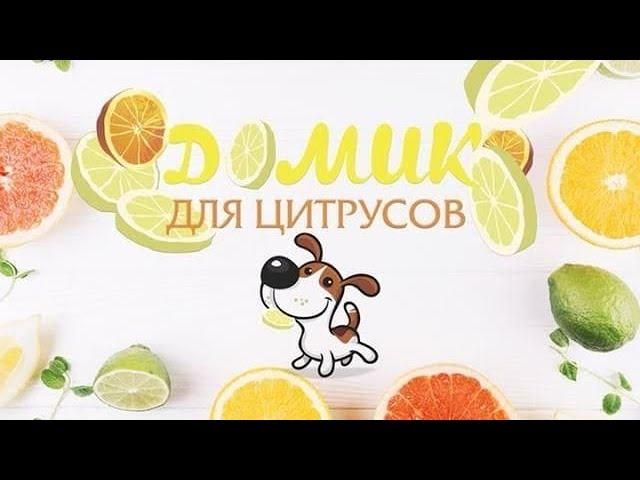 Новичок с клещом