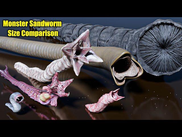 Monster Sandworm Size Comparison