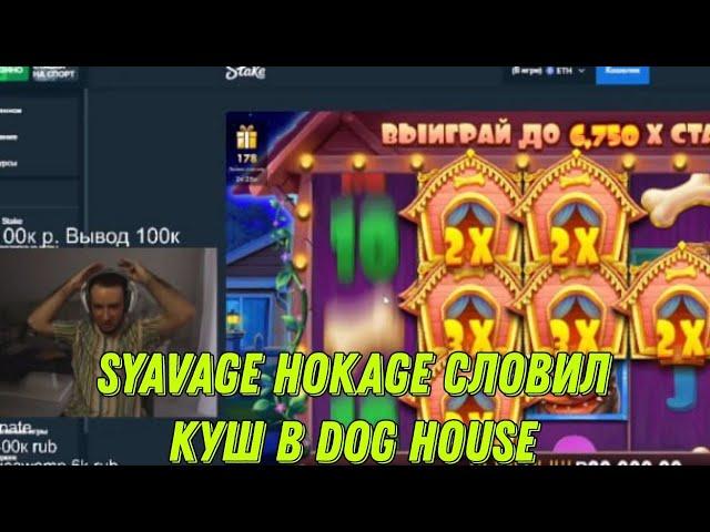 SYAVAGE HOKAGE СЛОВИЛ КУШ В DOG HOUSE