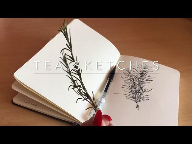 Speed drawing - girl with flowers in her hair | TEA SKETCHES