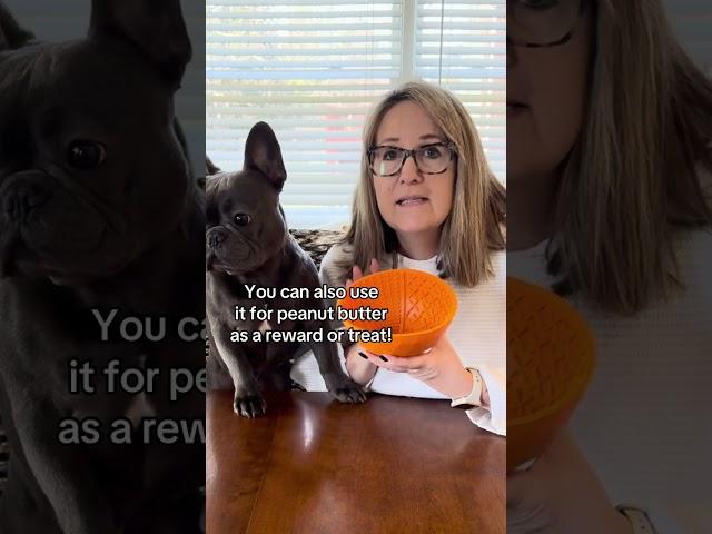 Slow feeding silicone lick bowl for mental enrichment & anxiety relief!