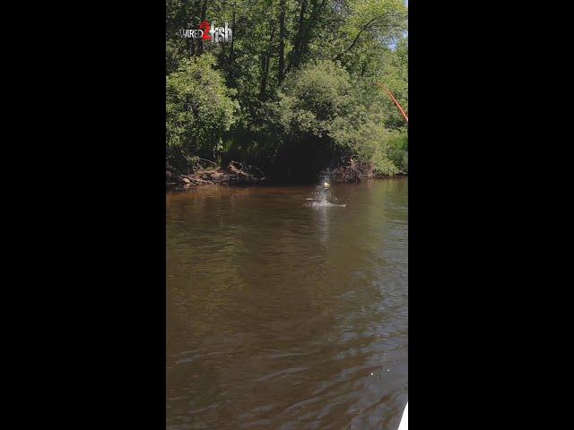 Gotta Love Floating the River #shorts