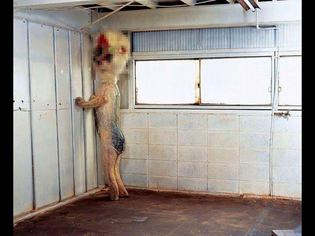 "But if you close you're eyes" SCP 173 untitled 2004 image removal