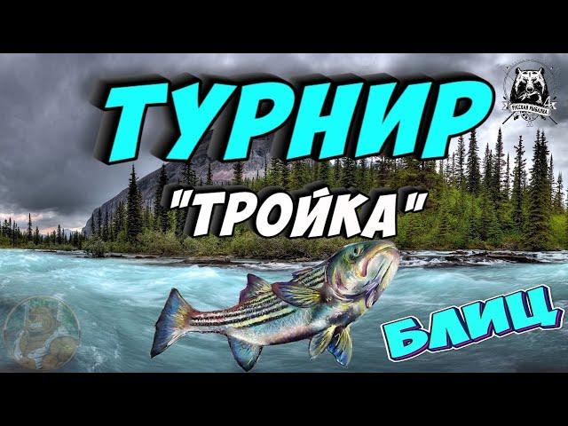 Розыгрыш Премов среди участников Турнира Тройка Русская Рыбалка 4