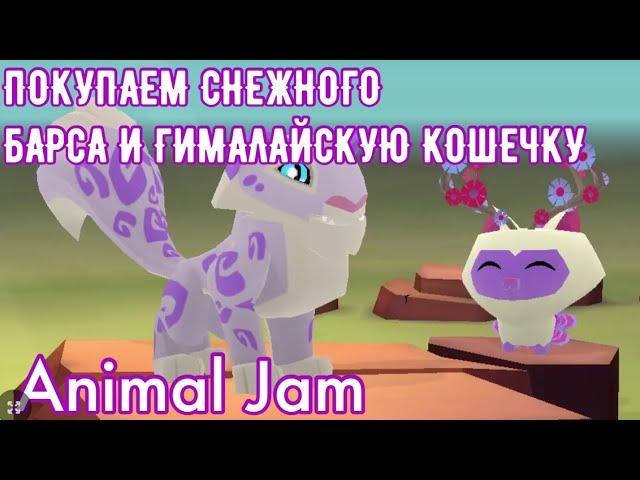 Покупаем нового Снежного Барса и питомца Гималайской кошечки/Animal Jam