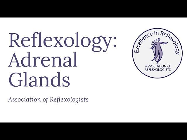 Reflexology: Adrenals Glands