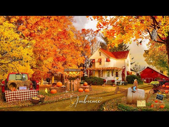  Autumn Farm ASMR Ambience | Harvest Time | Autumn Leaves & Pumpkin Please!