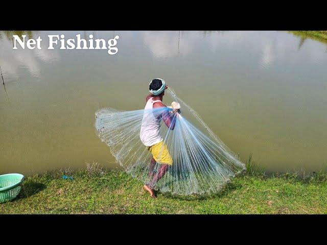 Amazing Net Fishing Skill cast from the bridge