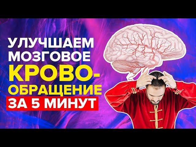 Как восстановить мозговое кровообращение за 5 мин