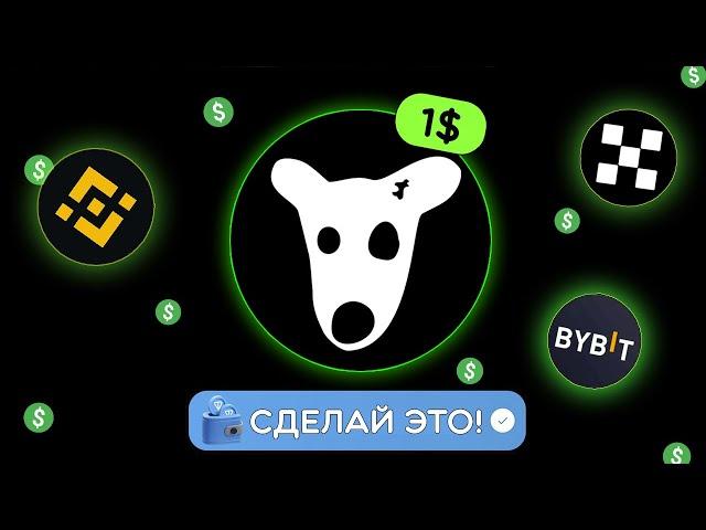 DOGS - СДЕЛАЙ ЭТО ПЕРЕД ЛИСТИНГОМ! ОНИ НАСЫПЯТ БОЛЬШЕ ХОМЯКА И ВОТ ПОЧЕМУ! КАК ВЫВЕСТИ МОНЕТЫ?