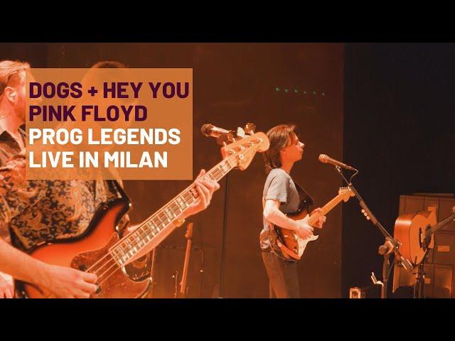 Dogs, Goodbye Cruel World, Hey You (Pink Floyd) - Prog Legends - Live in Milan